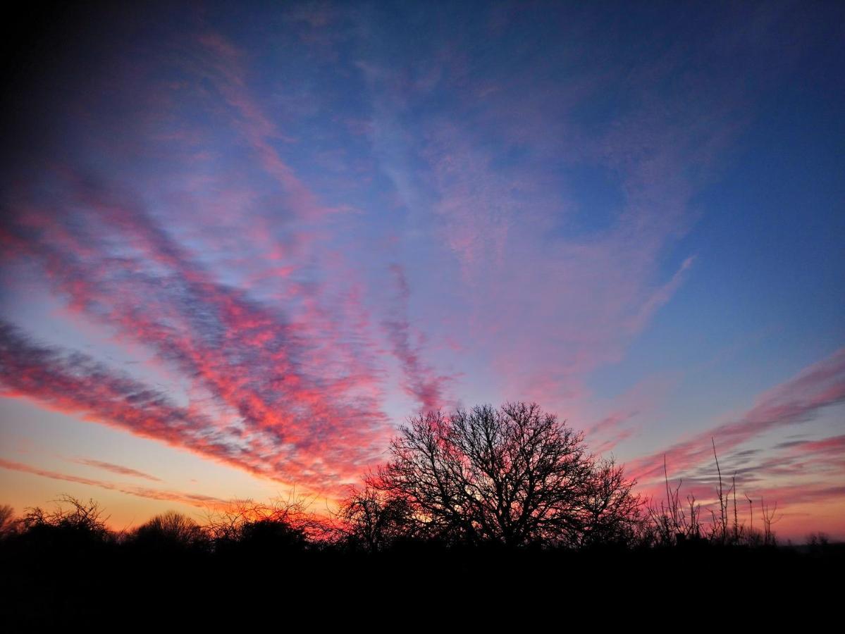La Mare Aux 3 Diables Bed & Breakfast Fresney-le-Vieux ภายนอก รูปภาพ